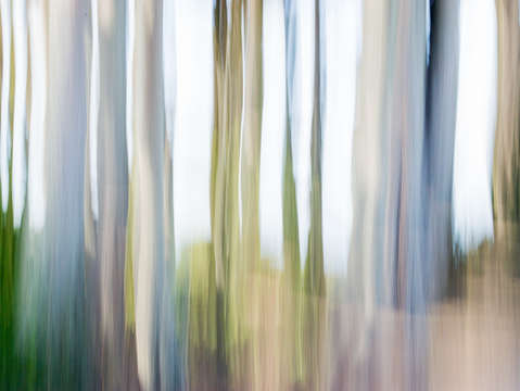 Moving trees iii 5