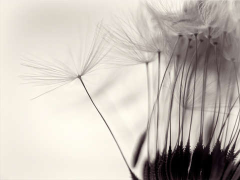 Migration 4