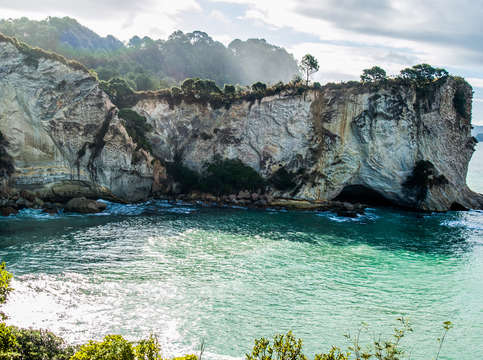 Stingray bay coromandel new zealand