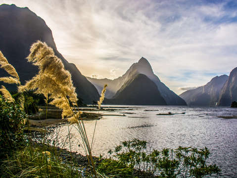 Milford sound new zealand