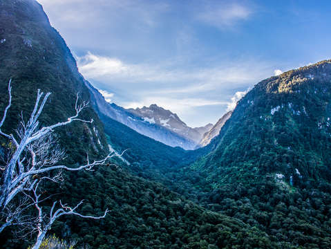 New zealand mountains