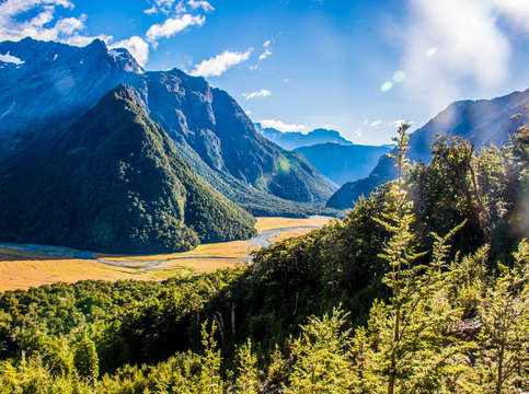 Routeburn track valley