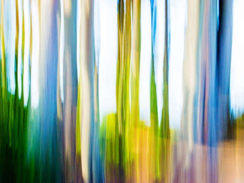 Moving trees i pantone