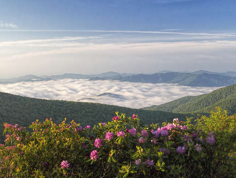Carolina heaven