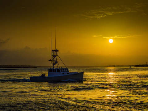 Going fishing on a golden morning