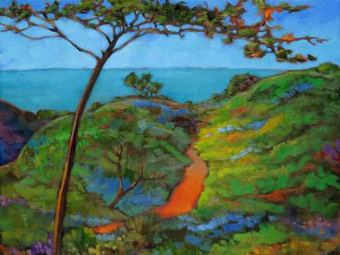 Torrey pines afternoon