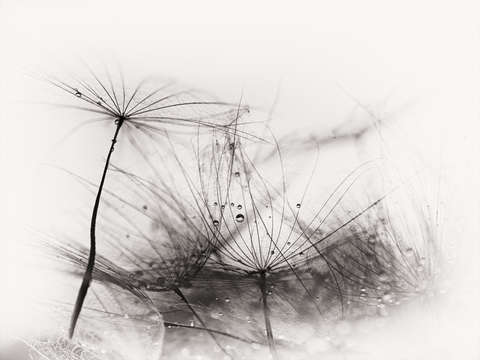 Catching rain drops ll