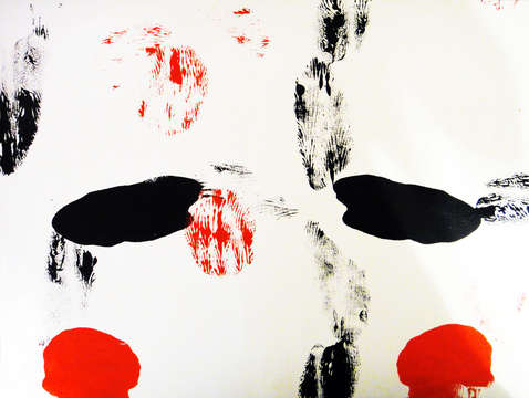 Geisha chick