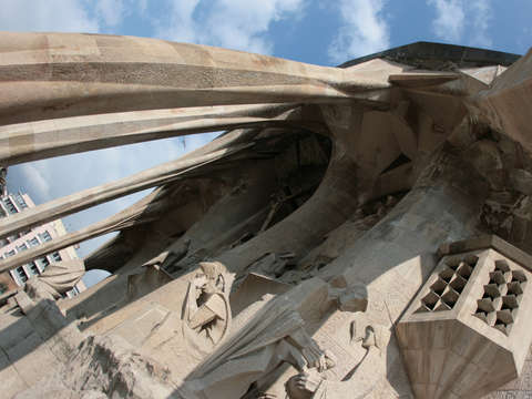 Sagrada familia pillars