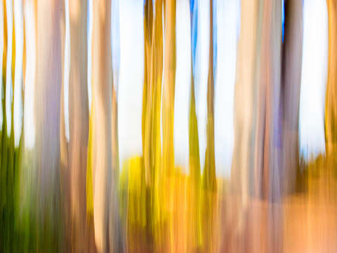 Moving trees iii 30 45 saturated