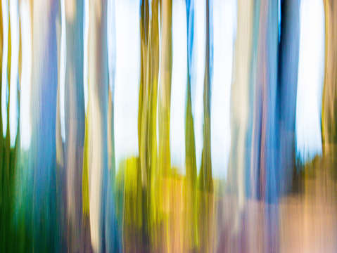 Moving trees i 30 45 pantone treetop 30 46