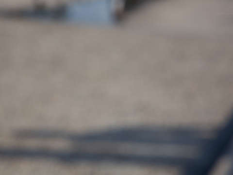 Lincoln memorial 05