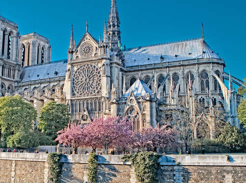 Notre dame