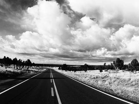Somewhere in New Mexico