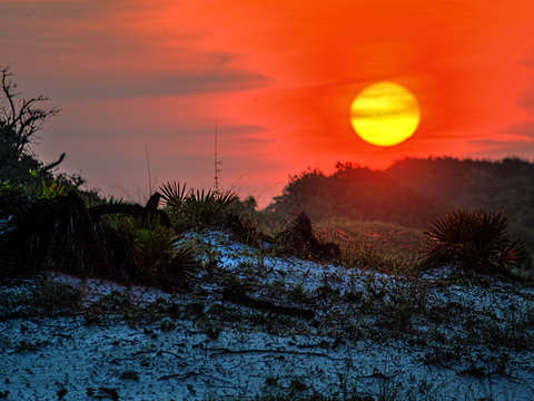 Sunrise in the dunes