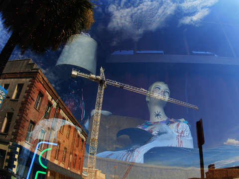 Reflection in savannah