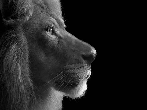 King