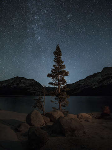 By the lake at night