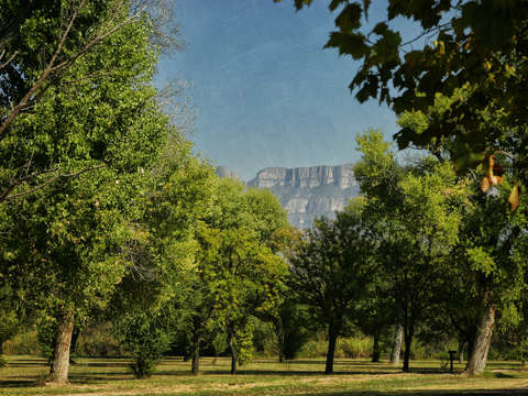 Mountain through the trees