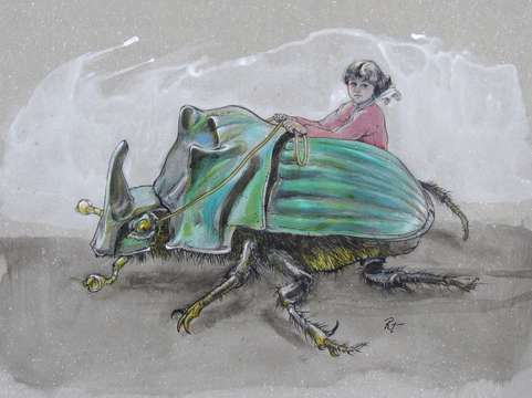 Green beetle