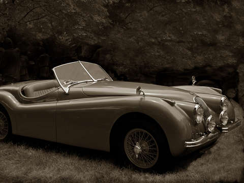 Jag sepia
