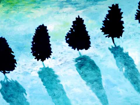 Winter shadows