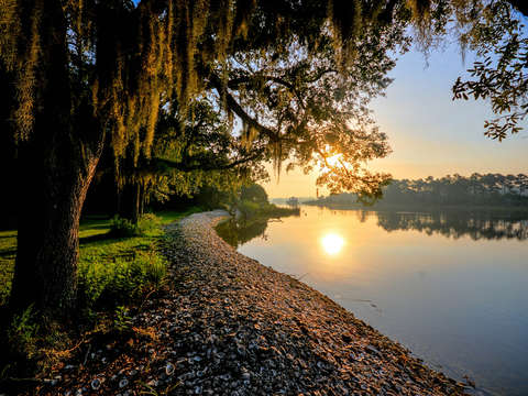 Shoreline on the bon secor river