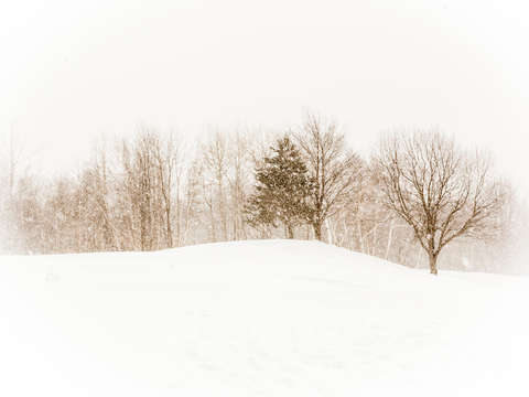 Snowy Winter Landscape II