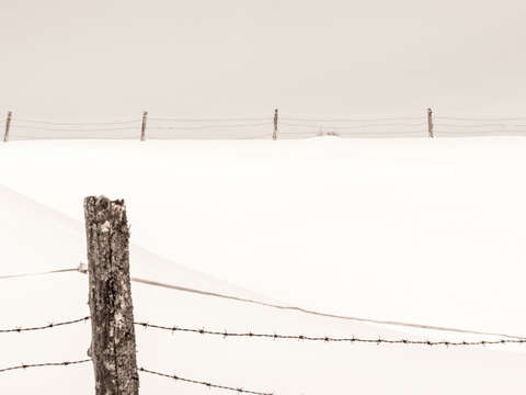 Winter fence i
