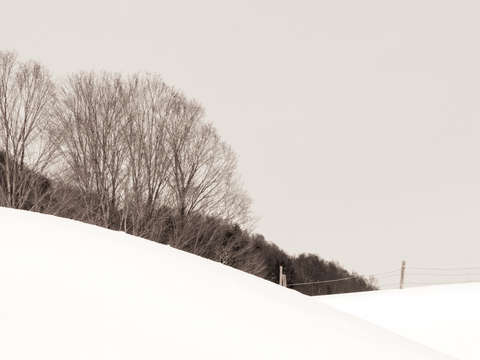 Winter fence ii