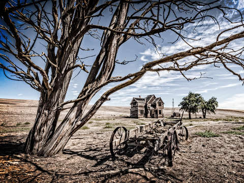 Abandoned 5