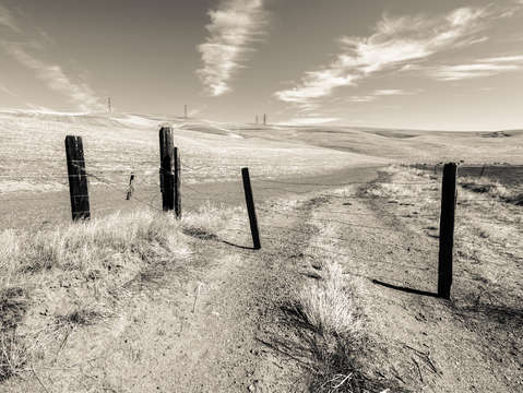 Prairie fence i