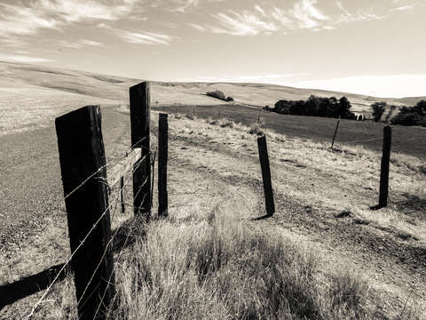 Prairie fence ii