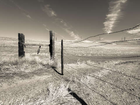 Prairie Fence III