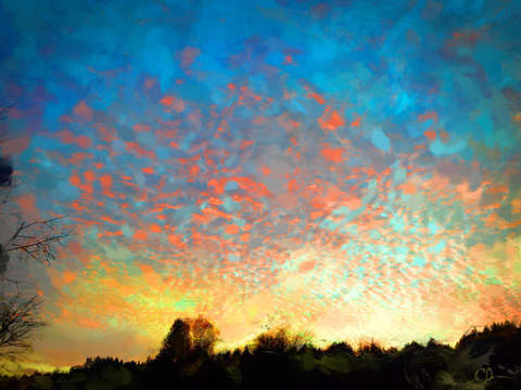Feathered sunset