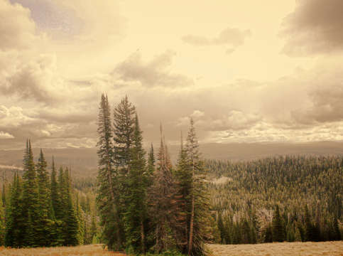 Yellowstone: View I