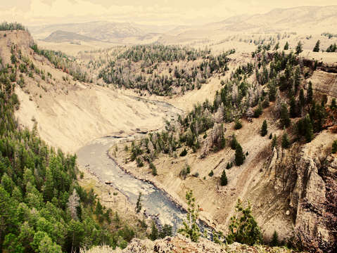 Yellowstone view ii
