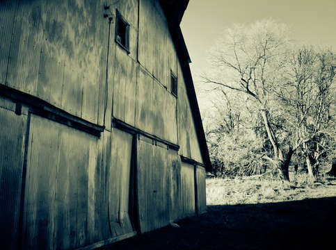 Blue barn i