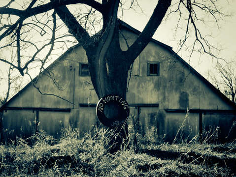 Blue barn ii