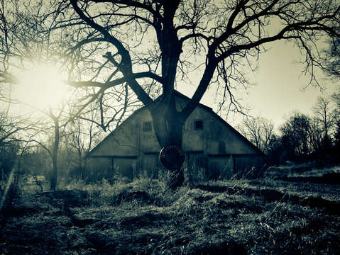 Blue barn iv