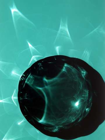 Thecadinium ornatum