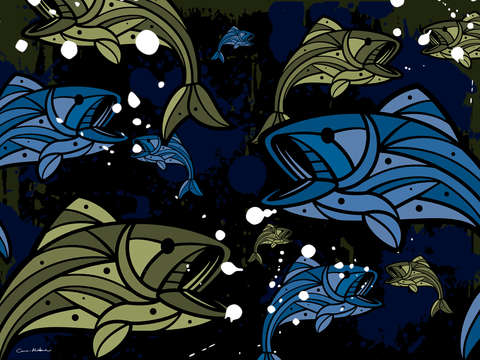 Fish v12