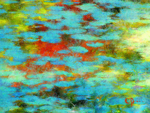 Lilly Pond 2