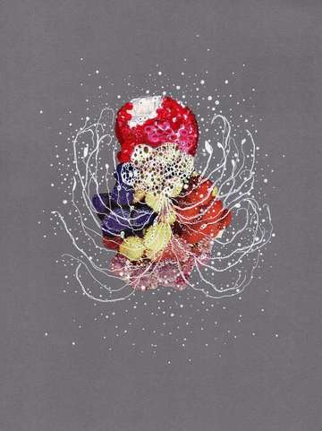 Sparkling cephalopod