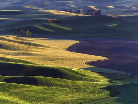 Winding beauty 2