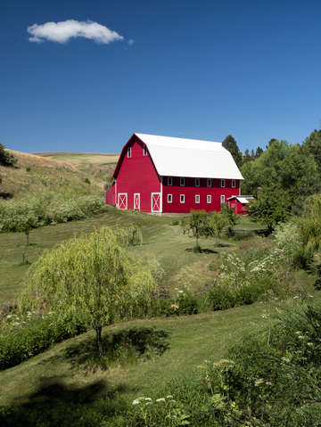 The red barn 4