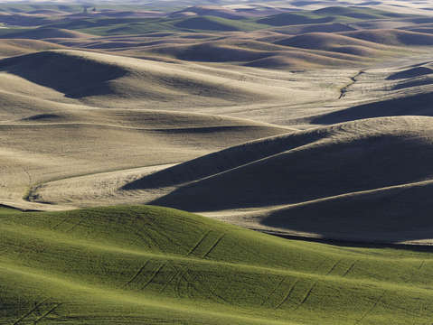 Palouse valley