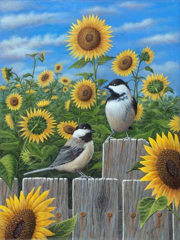 Chickadees and sunflowers