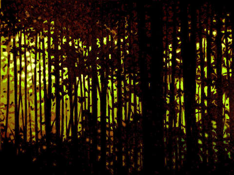 Dark forest iii