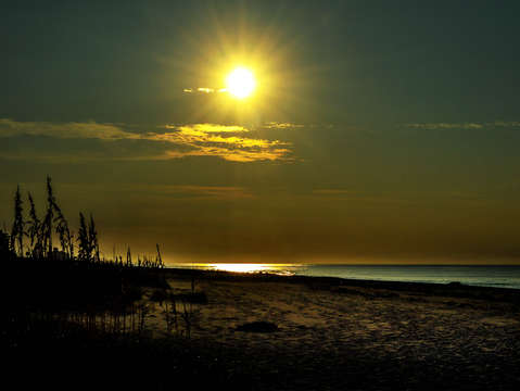 Golden beach hour